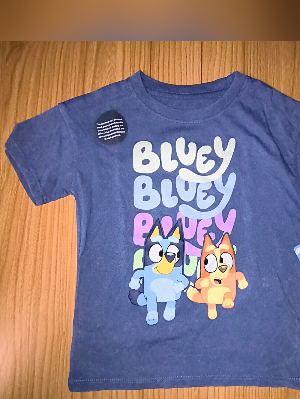 ✨ 2 For $6  ✨ Bluey Graphic Tee
